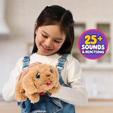 Little Live Pets My Puppy's Home Interactive Plush - Colorland Toys